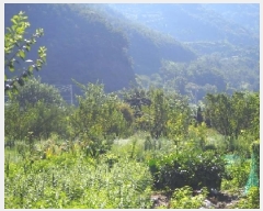  2025Ÿ��1530  ����