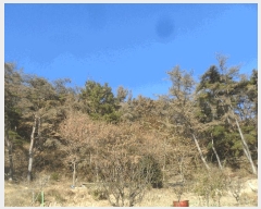  2025Ÿ��1585  ���ð��