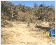  2025Ÿ��1585  ���ð��