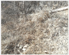  2025Ÿ��1585  ���ð��