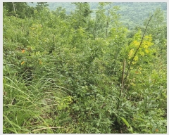  2025Ÿ��1608  �����