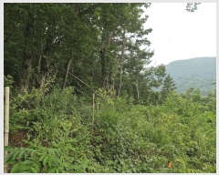  2025Ÿ��1608  �����