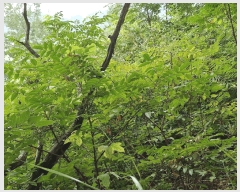  2025Ÿ��1608  �����