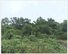  2025Ÿ��1608  �����