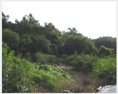  2025Ÿ��1608  �����