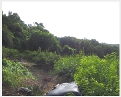  2025Ÿ��1608  �����