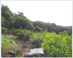  2025Ÿ��1608  �����