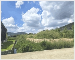  2025Ÿ��1721  ����