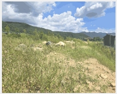  2025Ÿ��1721  ����