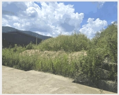  2025Ÿ��1721  ����