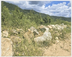  2025Ÿ��1721  ����