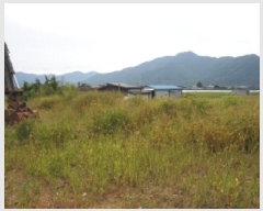  2025Ÿ��1721  ����