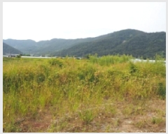  2025Ÿ��1721  ����