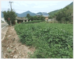  2025Ÿ��1783  �������