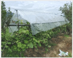  2025Ÿ��1783  �������