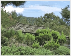  2025Ÿ��1905 �泲 �о�� ������� ������ 25      ���ð��