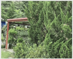  2025Ÿ��1905 �泲 �о�� ������� ������ 25      ���ð��