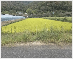  2025Ÿ��1936  ����