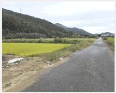  2025Ÿ��1936  ����