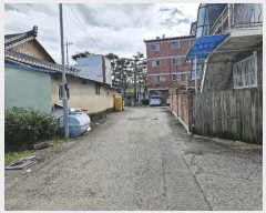  2025Ÿ��1967  �ټ���(����)���