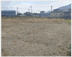  2025Ÿ��2113 �泲 �о�� �󳲸� ���ݸ� 517-1      ����(��1)���
