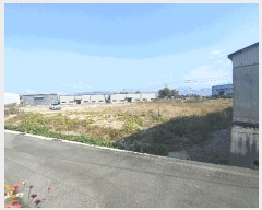  2025Ÿ��2113 �泲 �о�� �󳲸� ���ݸ� 517-1      ����(��1)���