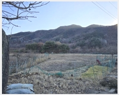  2025Ÿ10060 泲 о κϸ 긮 133      (1)