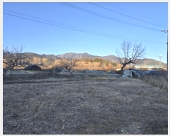  2025Ÿ10060 泲 о κϸ 긮 133      (1)