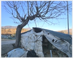  2025Ÿ10060 泲 о κϸ 긮 133      (1)