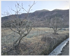  2025Ÿ10060 泲 о κϸ 긮 133      (1)