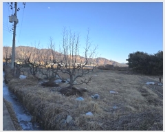  2025Ÿ10060 泲 о κϸ 긮 133      (1)