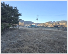  2025Ÿ10060 泲 о κϸ 긮 133      (1)