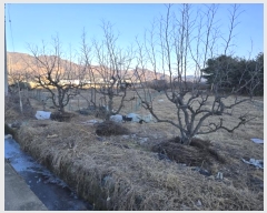  2025Ÿ10060 泲 о κϸ 긮 133      (1)