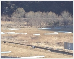  2025Ÿ10152 泲 â籺  ȣ 494      (1)