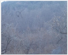  2025Ÿ10152 泲 â籺  ȣ 494      (1)