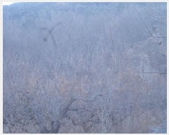  2025Ÿ10152 泲 â籺  ȣ 494      (1)