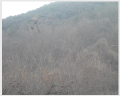  2025Ÿ10152 泲 â籺  ȣ 494      (1)