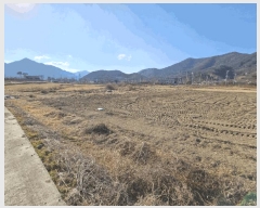  2025Ÿ10229 泲 â籺 ΰ Ź 161-2      ()