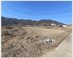  2025Ÿ10229 泲 â籺 ΰ Ź 161-2      ()