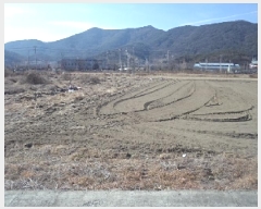  2025Ÿ10229 泲 â籺 ΰ Ź 161-2      ()