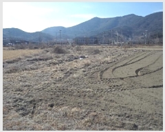  2025Ÿ10229 泲 â籺 ΰ Ź 161-2      ()