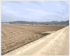  2025Ÿ10232 泲 о 󳲸 ̸ 1495      ()