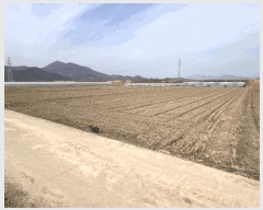  2025Ÿ10232 泲 о 󳲸 ̸ 1495      ()