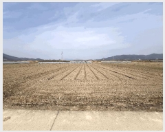  2025Ÿ10232 泲 о 󳲸 ̸ 1495      ()