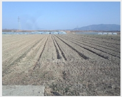  2025Ÿ10232 泲 о 󳲸 ̸ 1495      ()