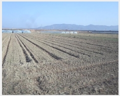  2025Ÿ10232 泲 о 󳲸 ̸ 1495      ()