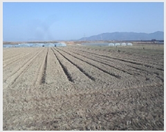  2025Ÿ10232 泲 о 󳲸 ̸ 1495      ()