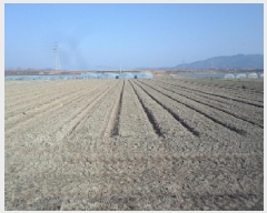  2025Ÿ10232 泲 о 󳲸 ̸ 1495      ()