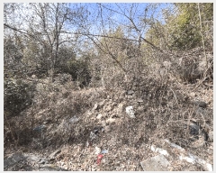  2025Ÿ��10233  �Ӿ߰��