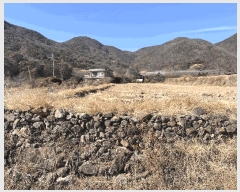  2025Ÿ��10233  �Ӿ߰��